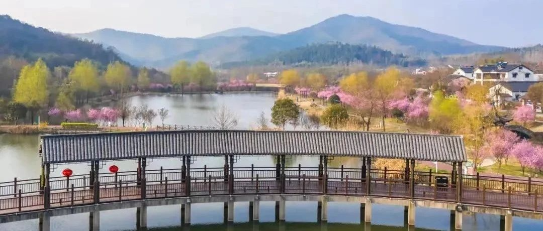 住进春天的民宿，感受春天的美好